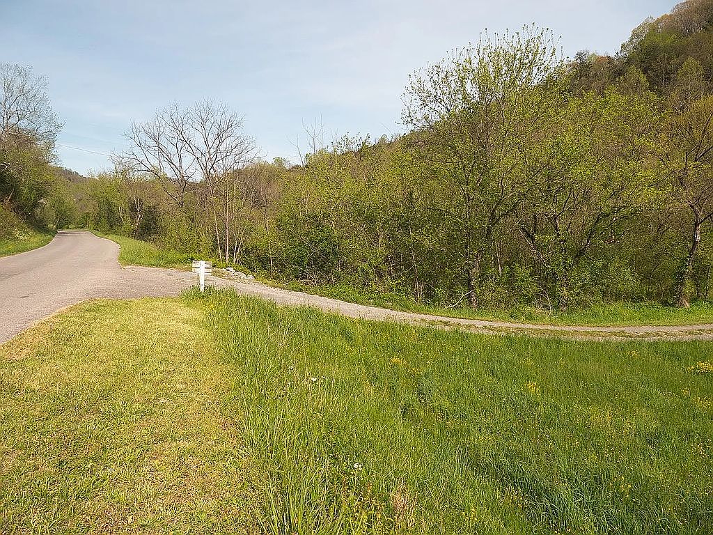 1125 Robinette Valley Rd, Duffield, VA 24244 — photo 4