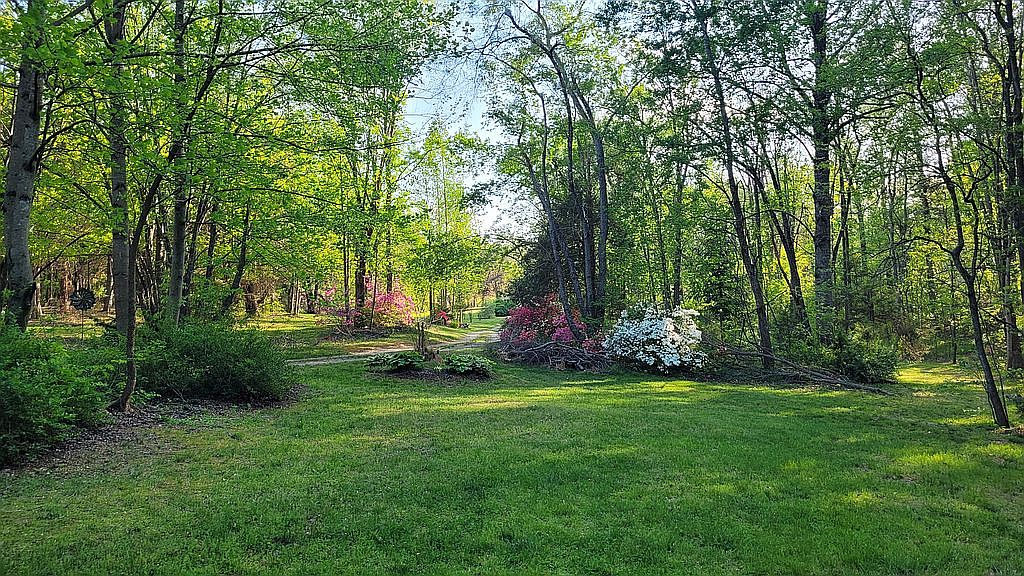314 N Anna Dr, Louisa, VA 23093 — photo 1