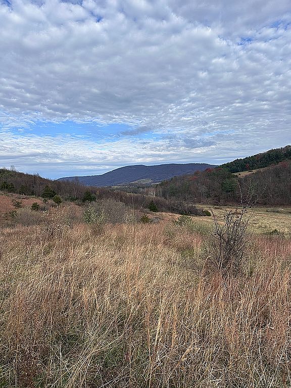 Gooney Manor Loop, Bentonville, VA 22610 — photo 2