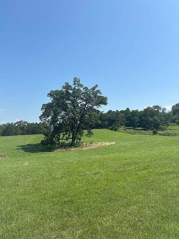 2071 Rodeo Dr, Harrisonburg, VA 22802 — photo 3