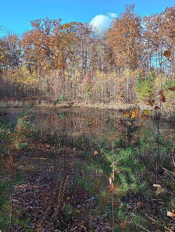 Lot 0 Eleys Ford Rd, Lignum, VA 22726 — photo 6