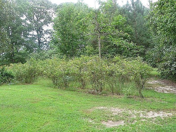 3130 Cedar Grove Rd, Farnham, VA 22460 — photo 1