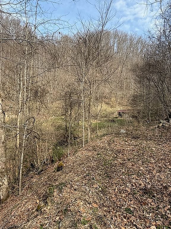 2231 Fox Fire Rd, Vansant, VA 24656 — photo 5