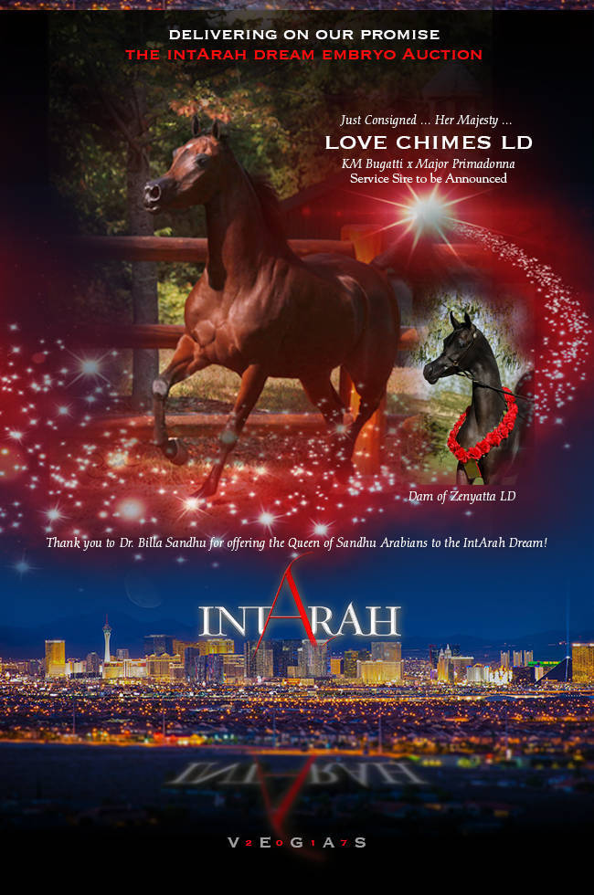 MARWAN AL SHAQAB x LOVE CHIMES LD