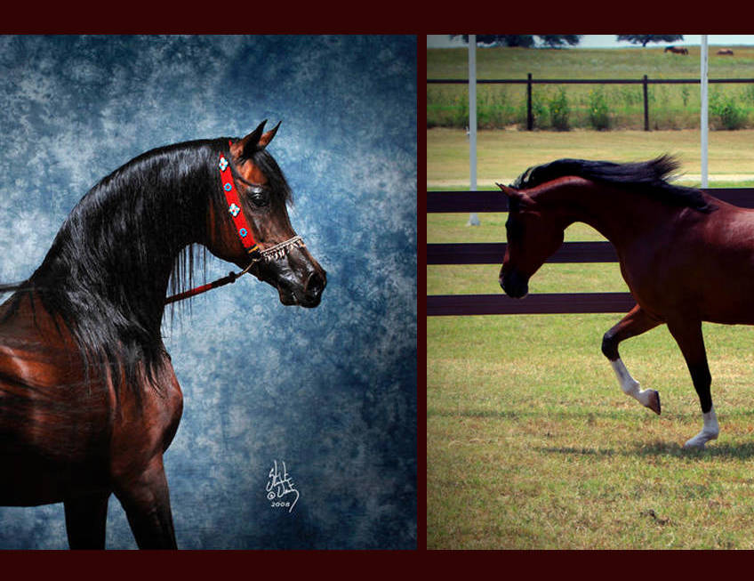 MARWAN AL SHAQAB x AMETY B
