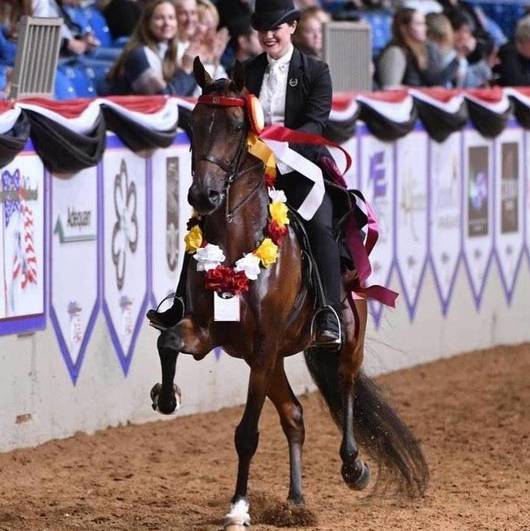 Hannah Sartori Messerli