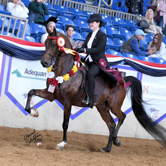 Hannah Sartori Messerli