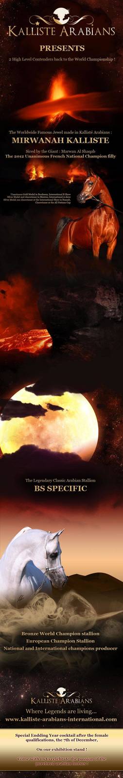 Our Contenders to the 2012 World Championship !