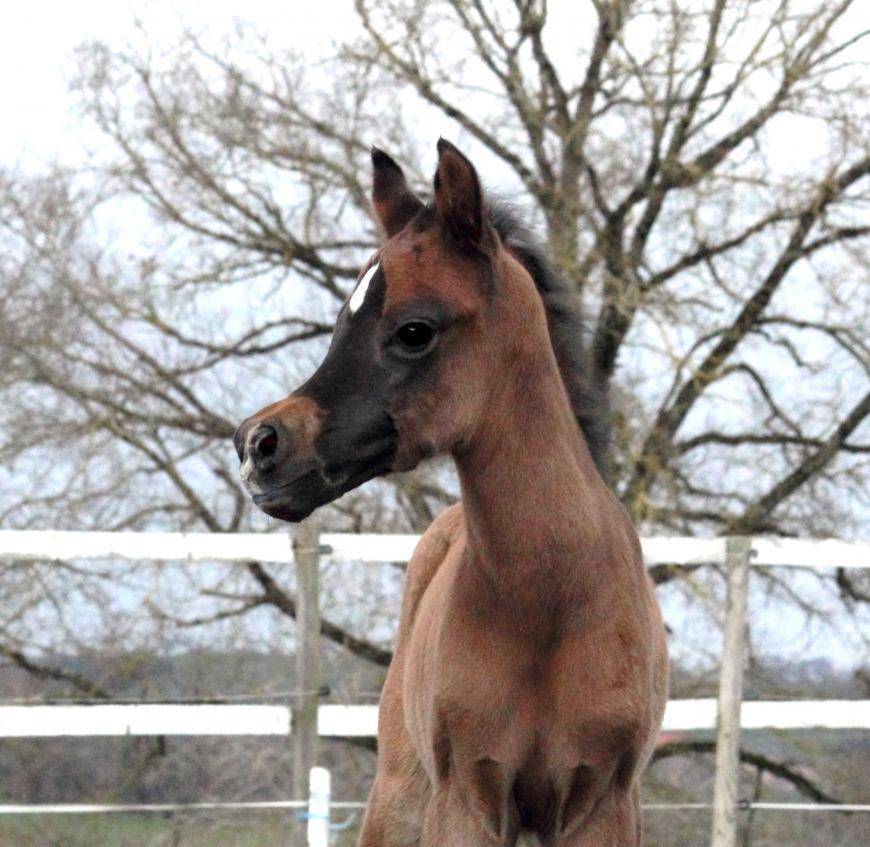 Congratulations to Mr and Mrs MICHON !