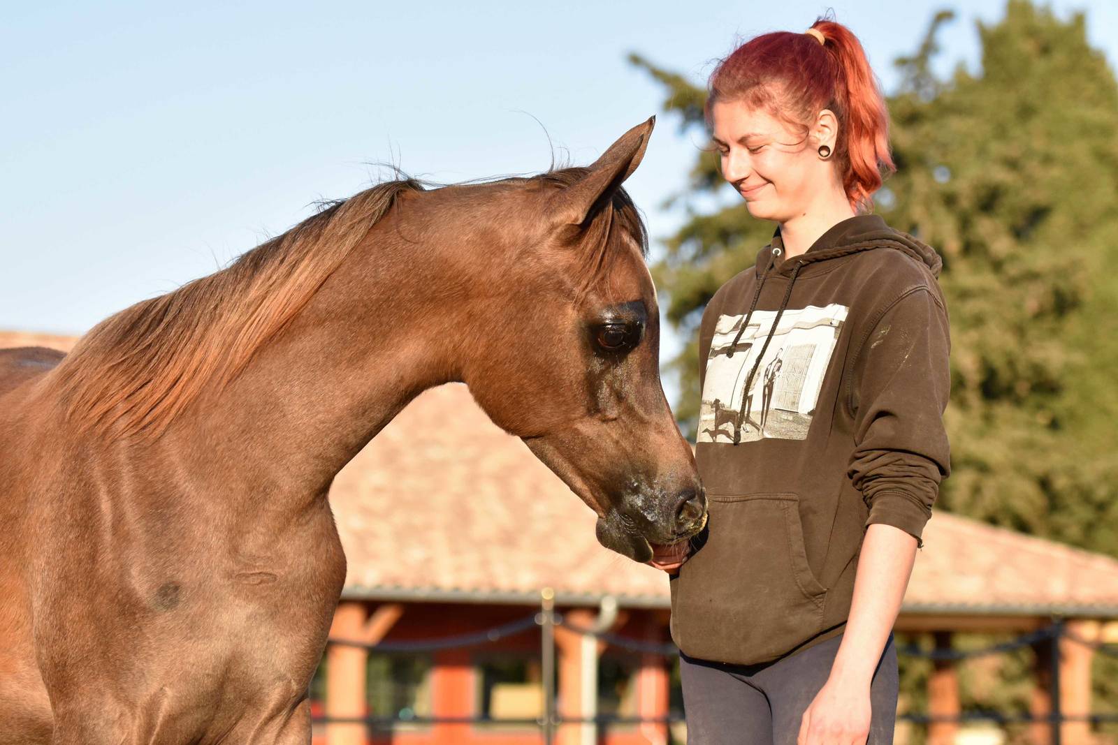 Congratulations to Alexandra, the new owner of WINDSOR Kalliste !