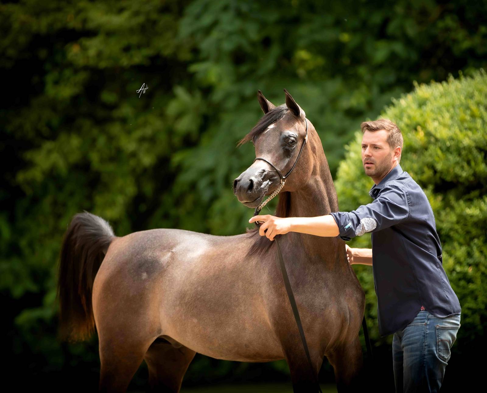 De Nouvelles Victoires au Championnat de France !