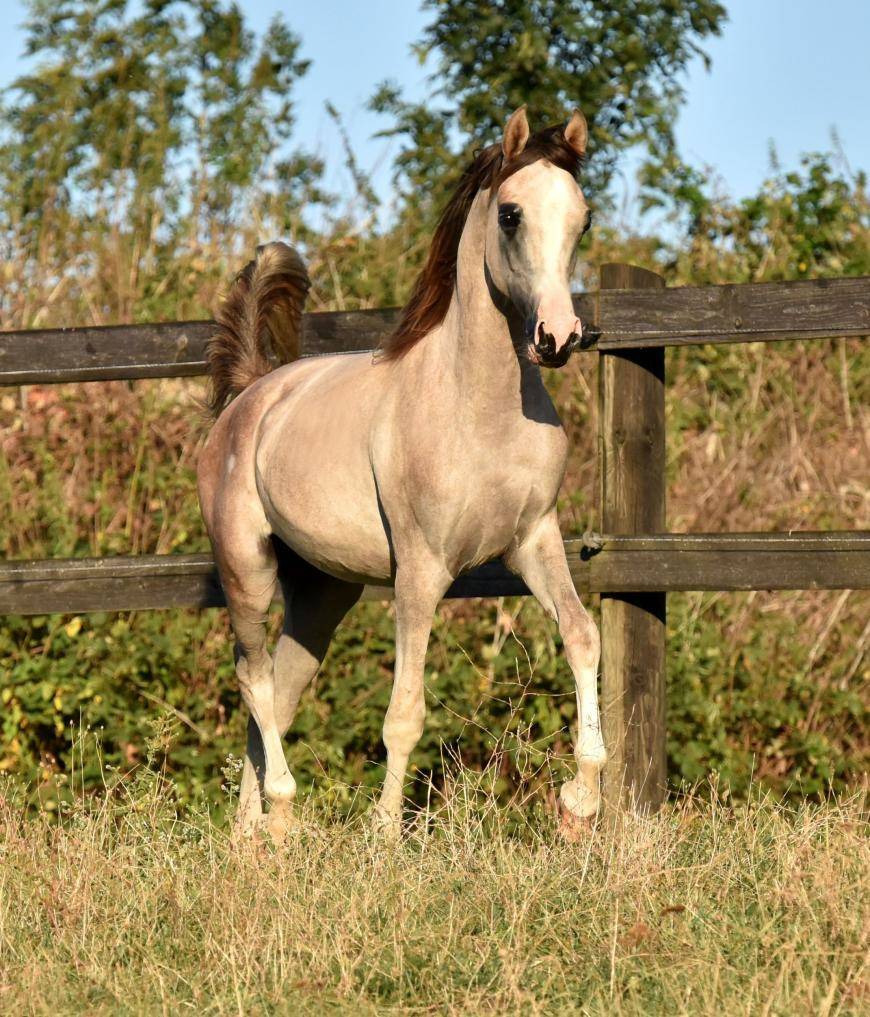 Congratulations to the new owners !