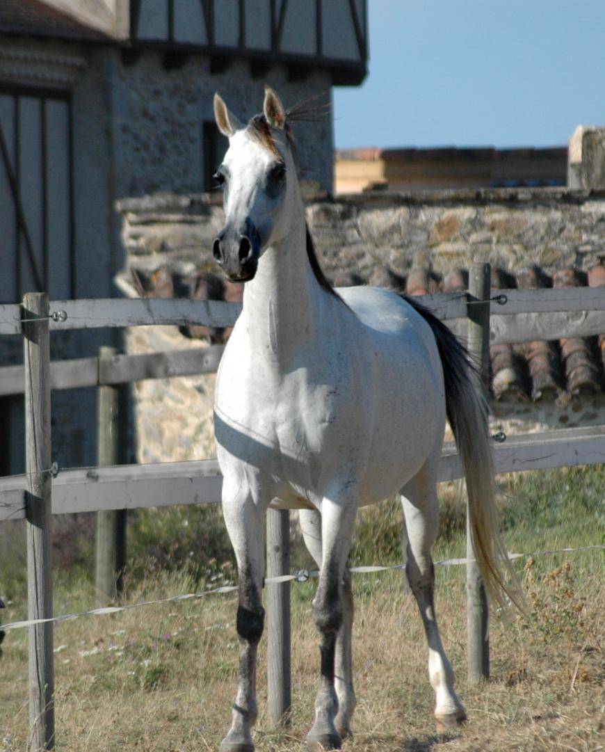 Congrats to the new owners of CALATHEA !