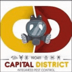Control De Plagas Capital District
