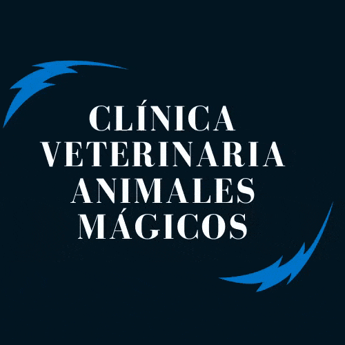 Clínica Veterinaria Animales Mágicos