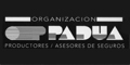 Organizacion Padua Seguros