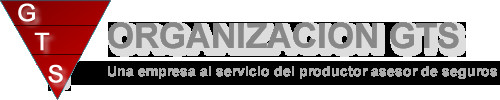 Organizacion Gts