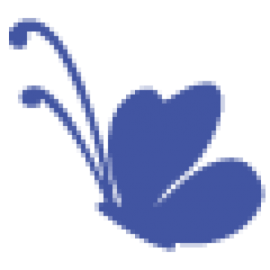 Alas De Colombia, Mariposas Nativas Ltda.