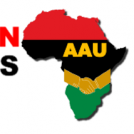 S & T Ingeniería Y Consultoría S.A.S.