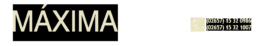 Maxima Seguridad Integral SRL