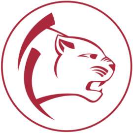 Cooperativa de Trab los Pumas Ltda - Seg y Vigilancia