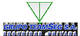 Grupo Teamseg SA