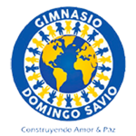 Colegio Gimnasio Domingo Savio De Villavicencio
