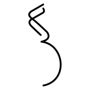 Genética Prenatal