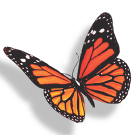 Gestión Y Servicios Ambientales Ltda