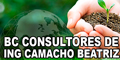 Bc Consultores de Ing Camacho Beatriz