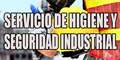 Servicio de Higiene y Seguridad Industrial