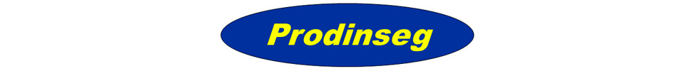 Prodinseg