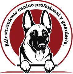 Centro Médico Veterinario Kennel