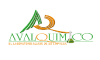 Avalquímico S.A.S.
