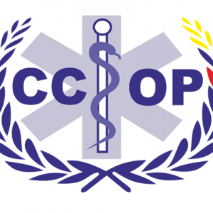 Centro De Capacitación Ocupacional Porvenir Ltda.