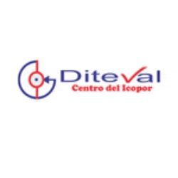 Construpor Diteval S.A.S