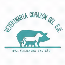Veterinaria Corazón Del Eje