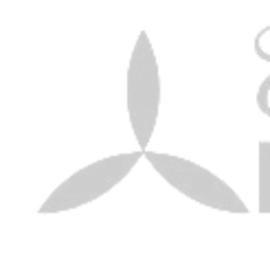 Elevadores Integral S.A.S.