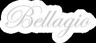 Salon Bellagio