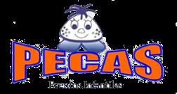 Fiestas Infantiles Pecas