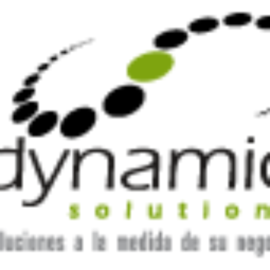 Dynamic Solutions