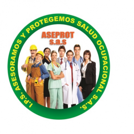 I.P.S. Asesoramos Y Protegemos Salud Ocupacional S.A.S.
