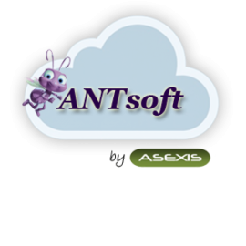 Asesores Expertos En Ingenieria Y Soluciones S.A.S.