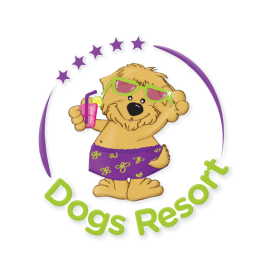 Dogs Resort