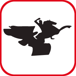 Arrendamientos Rionegro Campestre