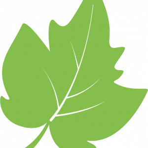 C.I. Textiles Balalaika S.A.