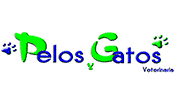 Pelos Y Gatos