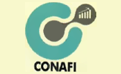Conafi Consultores Administrativos Y Financieros