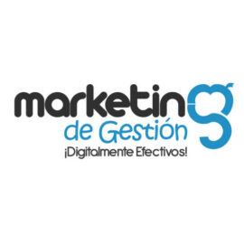 Marketing De Gestión