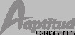 Aptitud